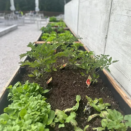 Waldhaus Talblick Han/Misafirhane *