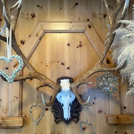 Waldhaus Talblick Värdshus