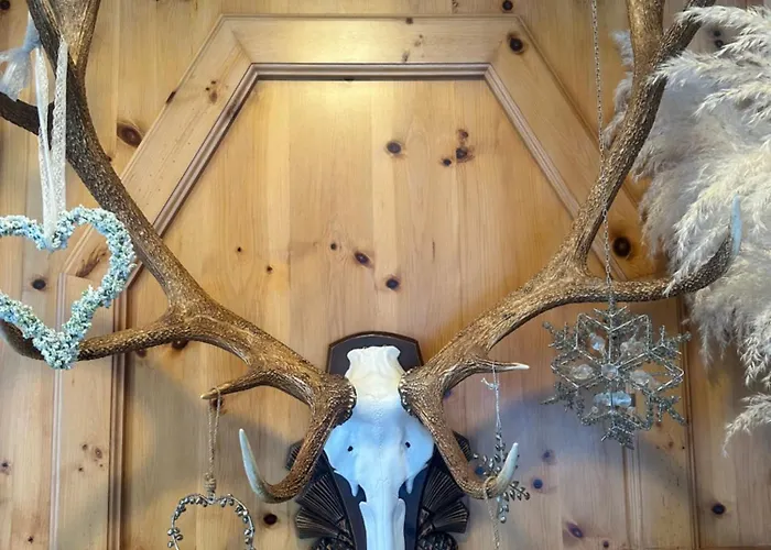 Waldhaus Talblick Värdshus