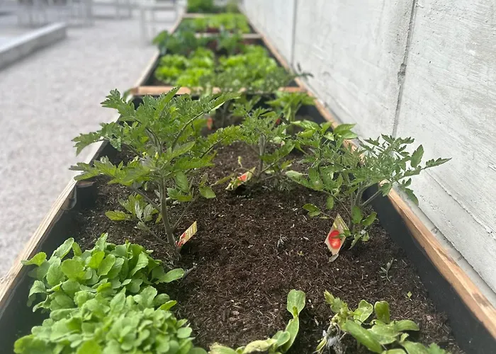 Waldhaus Talblick 여관 *