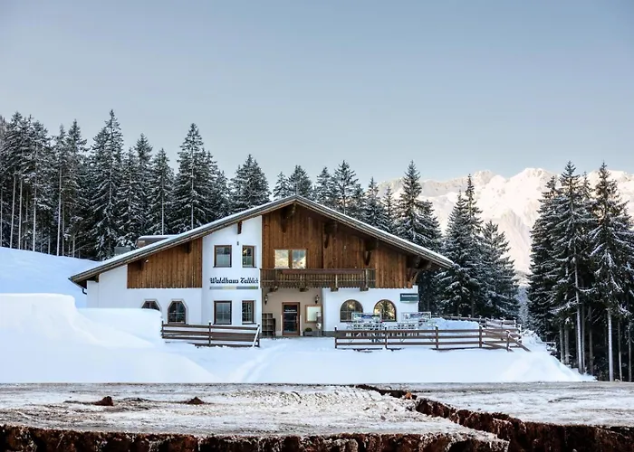 Waldhaus Talblick 비버위어