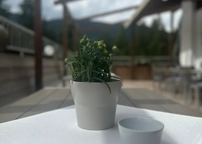 Waldhaus Talblick بيت ريفي ببيرفيير